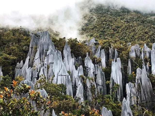 Espectaculares pináculos kársticos de caliza afilados que se elevan desde una exuberante selva verde.
