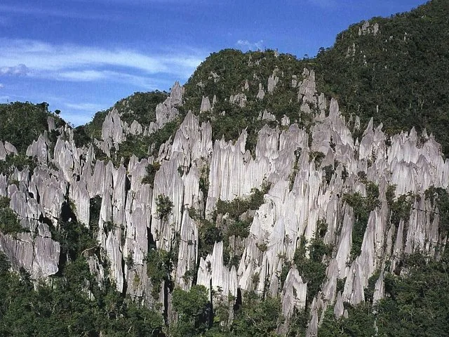 Vista amplia de escarpados pináculos grises de caliza que sobresalen de colinas verdes.