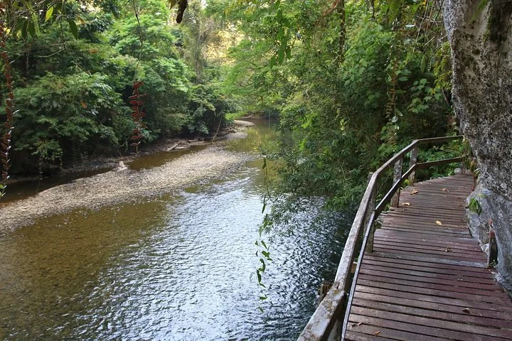 Sendero de pasarelas de madera junto a un río tranquilo en una densa selva tropical.