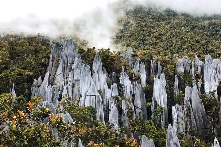 Espectaculares pináculos kársticos de caliza afilados que se elevan desde una exuberante selva verde.